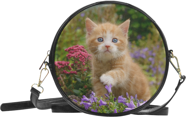 Curious Kitten Magnified Garden View PNG