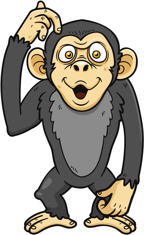 Curious_ Cartoon_ Monkey_ Vector PNG