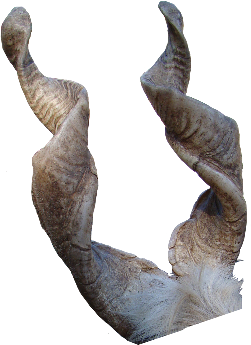 Curled Goat Horns PNG