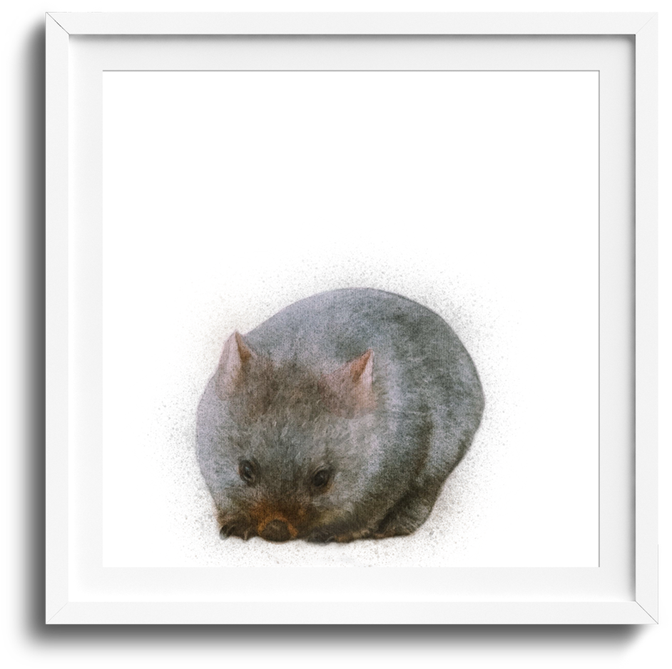 Curled Up Wombat Artwork PNG