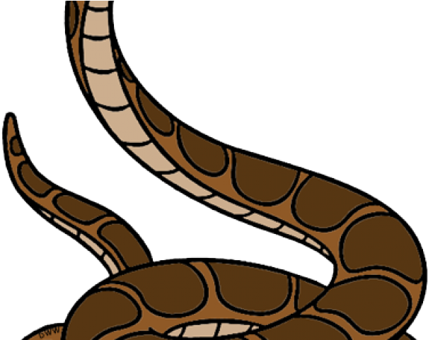 Curled_ Brown_ Snake_ Illustration PNG