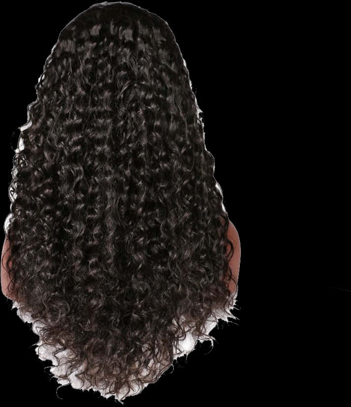 Curly Black Wig Back View PNG