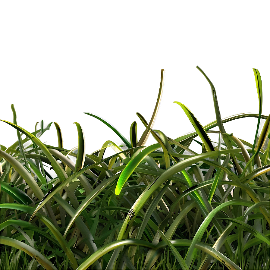 Curly Grass Texture Png Jhf PNG
