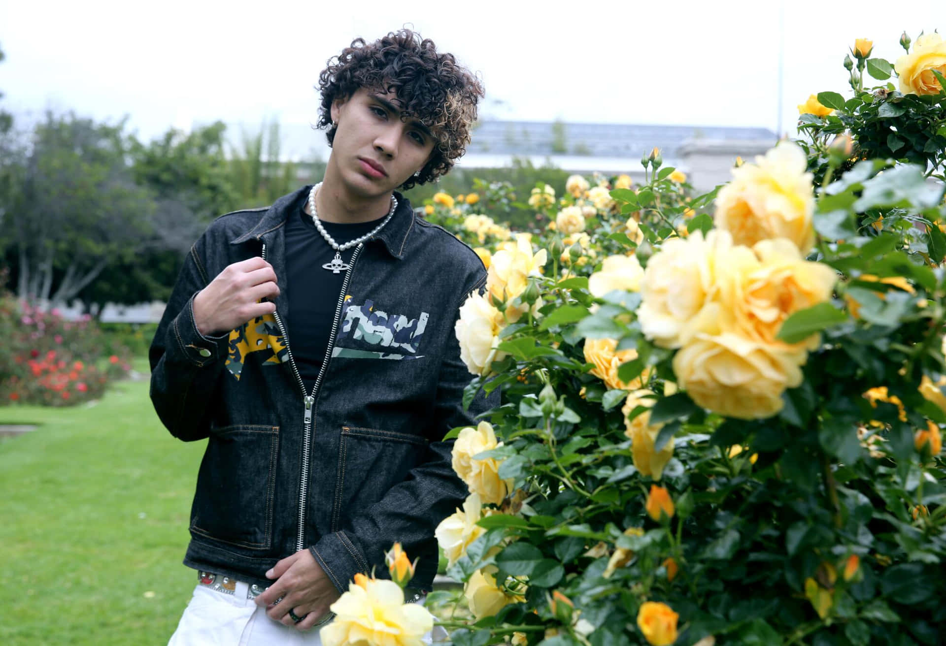 Curly Haired Young Manin Rose Garden Wallpaper