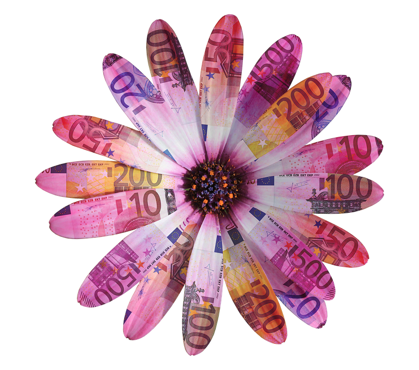 Currency Flower Creation PNG