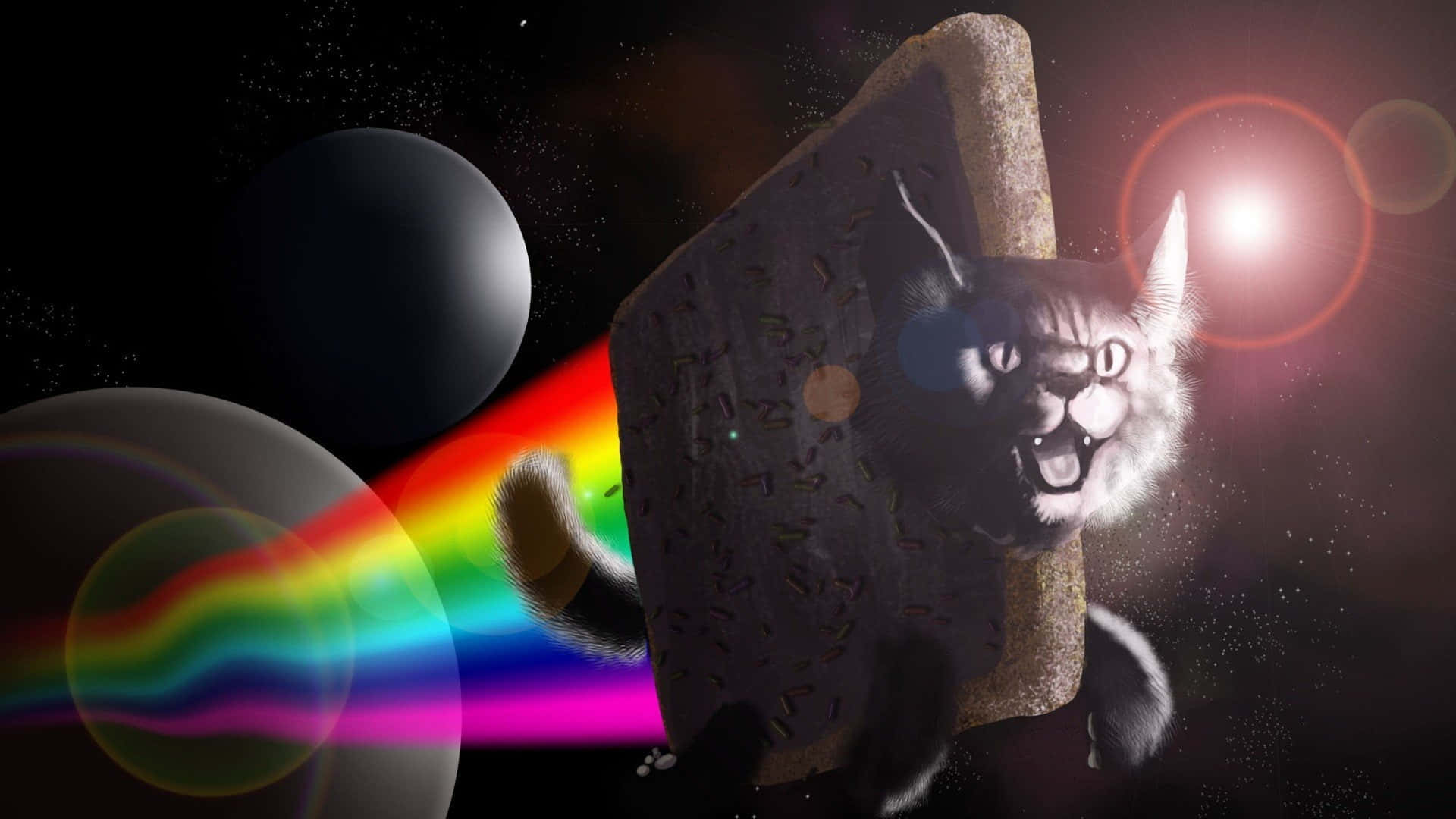 Space Rainbow Cursed Cat Picture