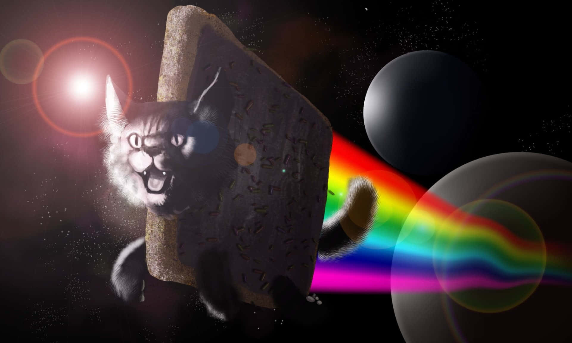 Cursed Cat Picture Space Rainbow