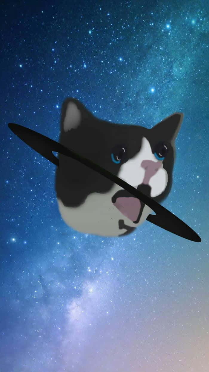 Cursed Cat Picture Space Galaxy
