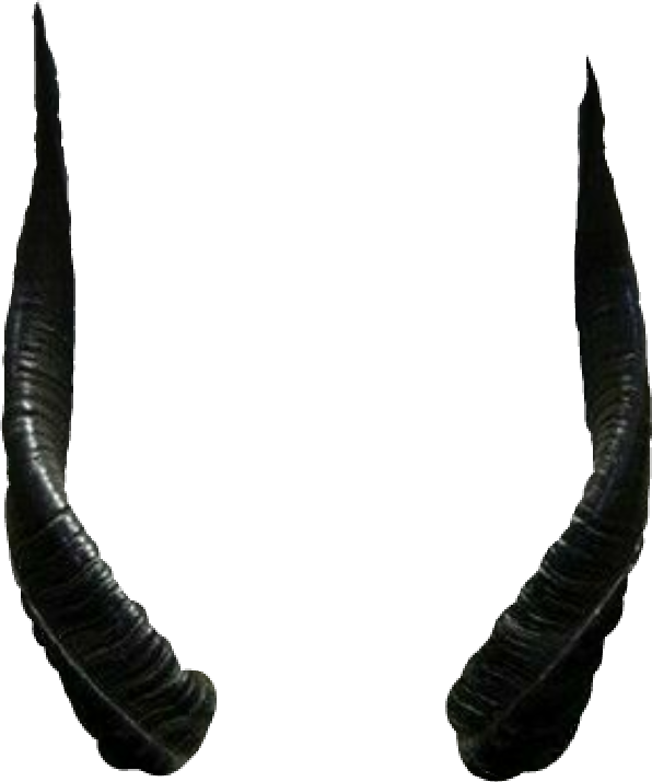 Curved Black Horns PNG
