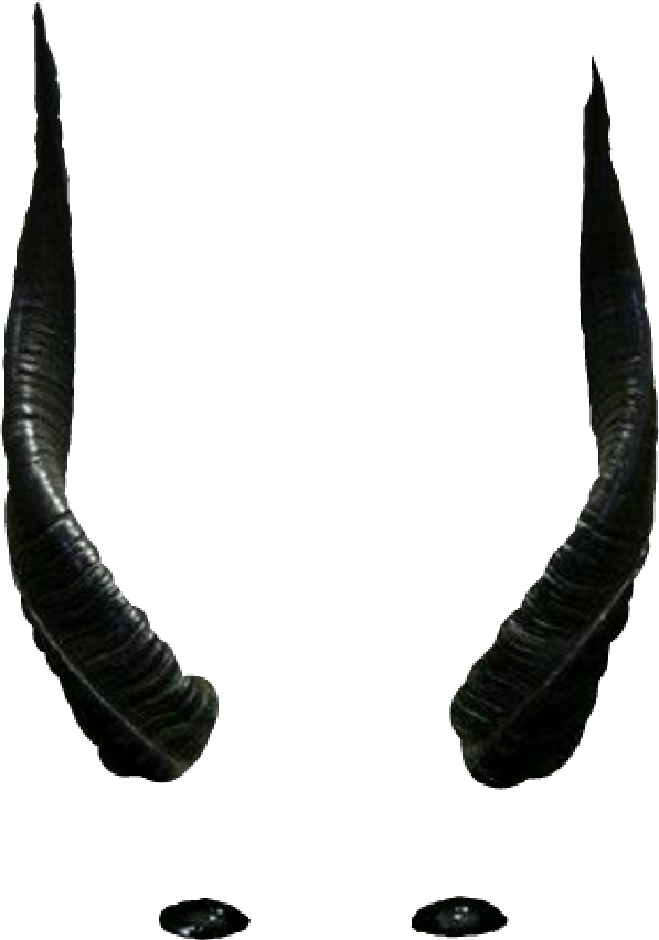 Curved Black Horns PNG