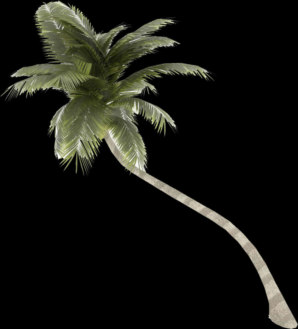 Curved Palm Tree Isolated PNG