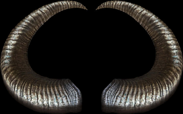 Curved Ram Horns Black Background PNG