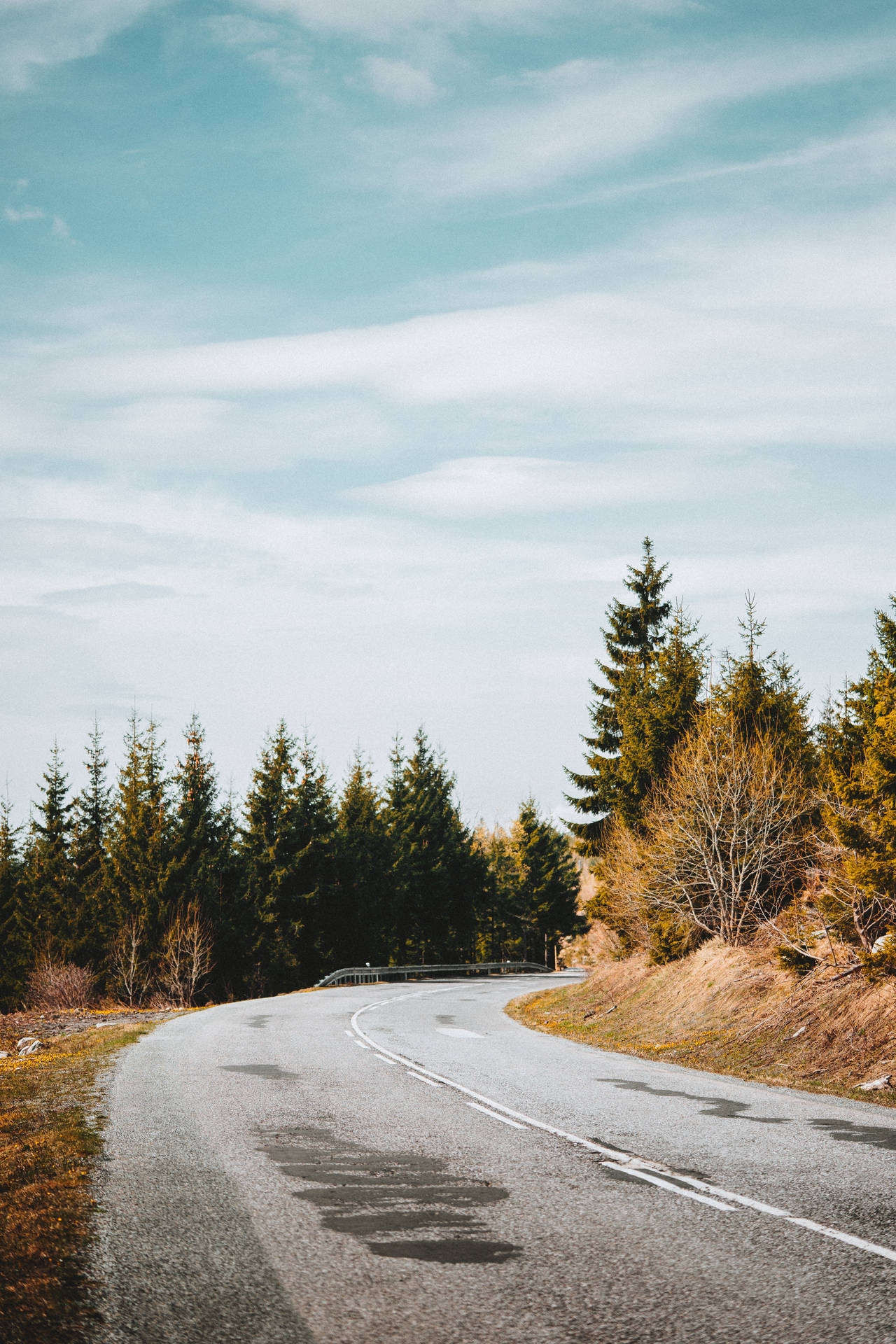 Curved Road Towards Nordic Forest Wallpaper