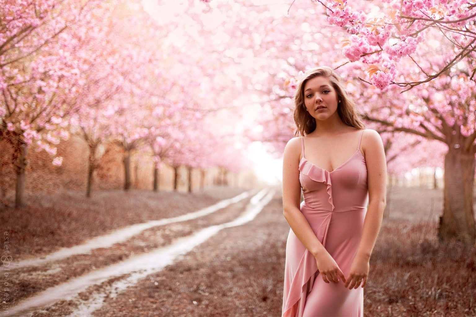 Curvy Woman During Cherry Blossoms Wallpaper
