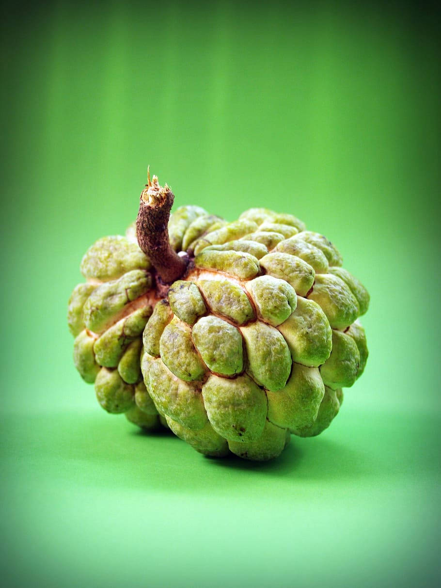 Caption: Picked at Perfection, A Fresh Custard Apple Wallpaper