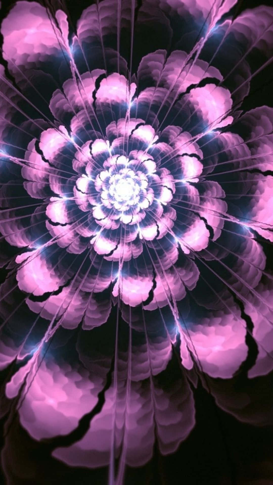 A Purple Flower With A Light Shining Through It Wallpaper