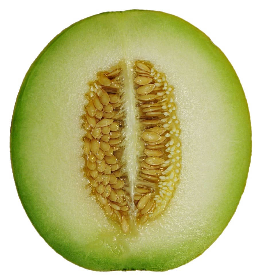Cut In Half Honeydew Melon Wallpaper