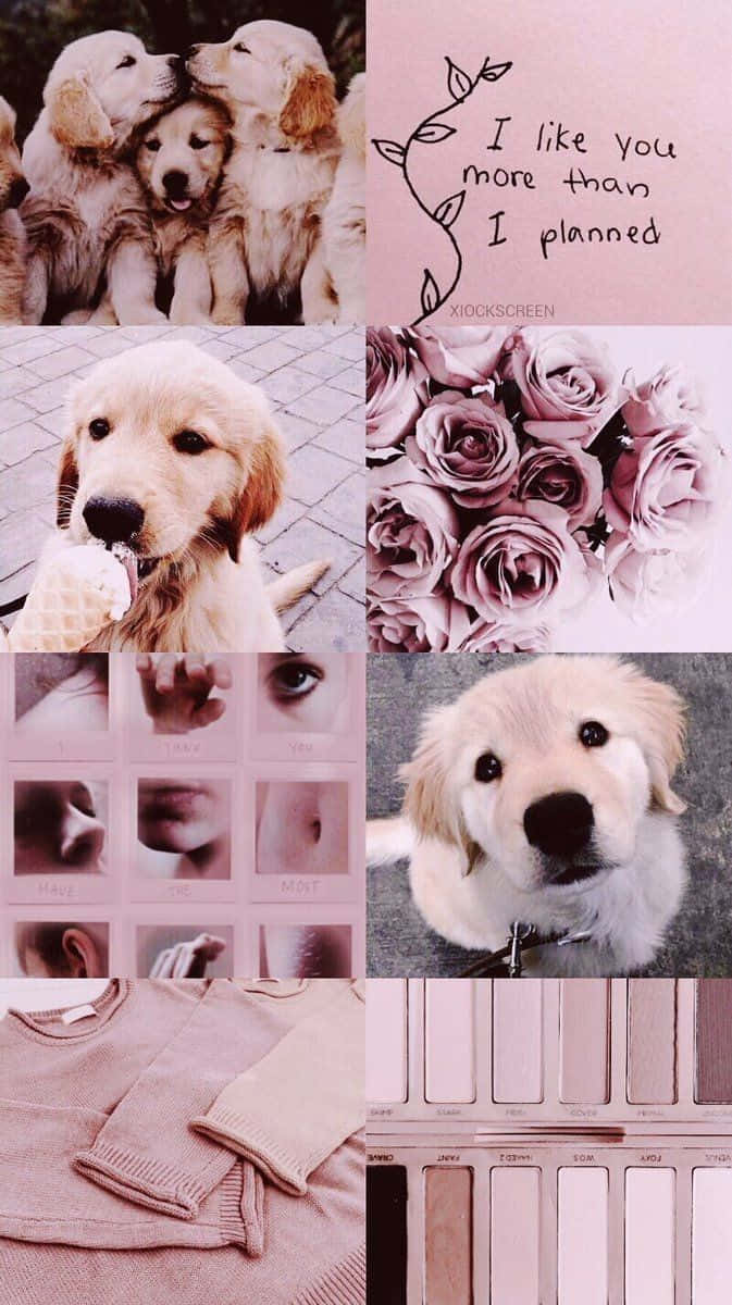 A Collage Of Pictures Of Dogs And Flowers