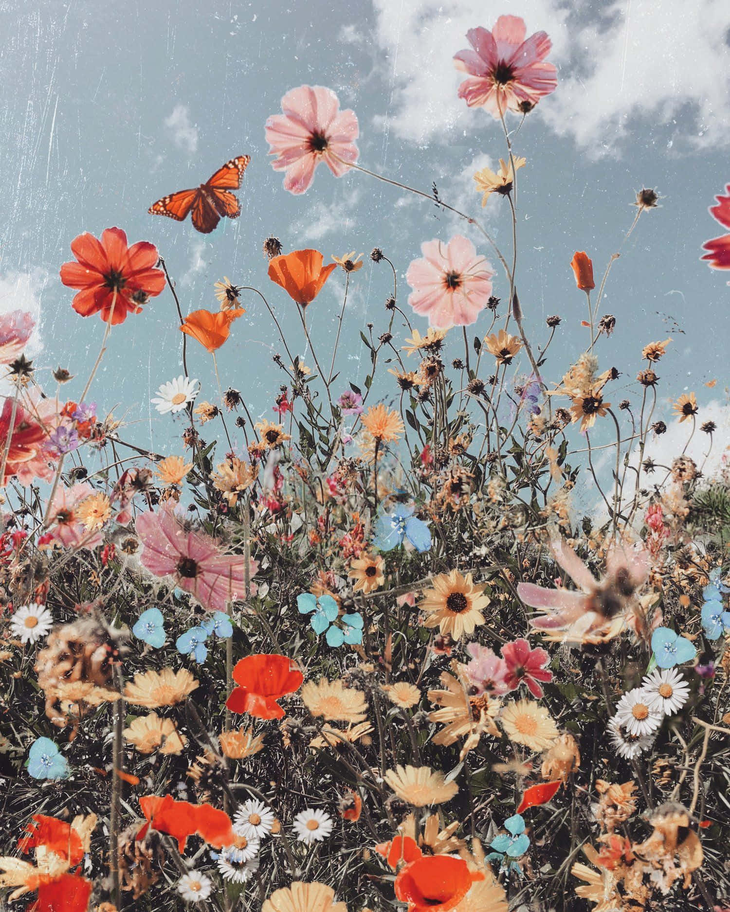 Bunteniedliche Ästhetische Blumen Wallpaper