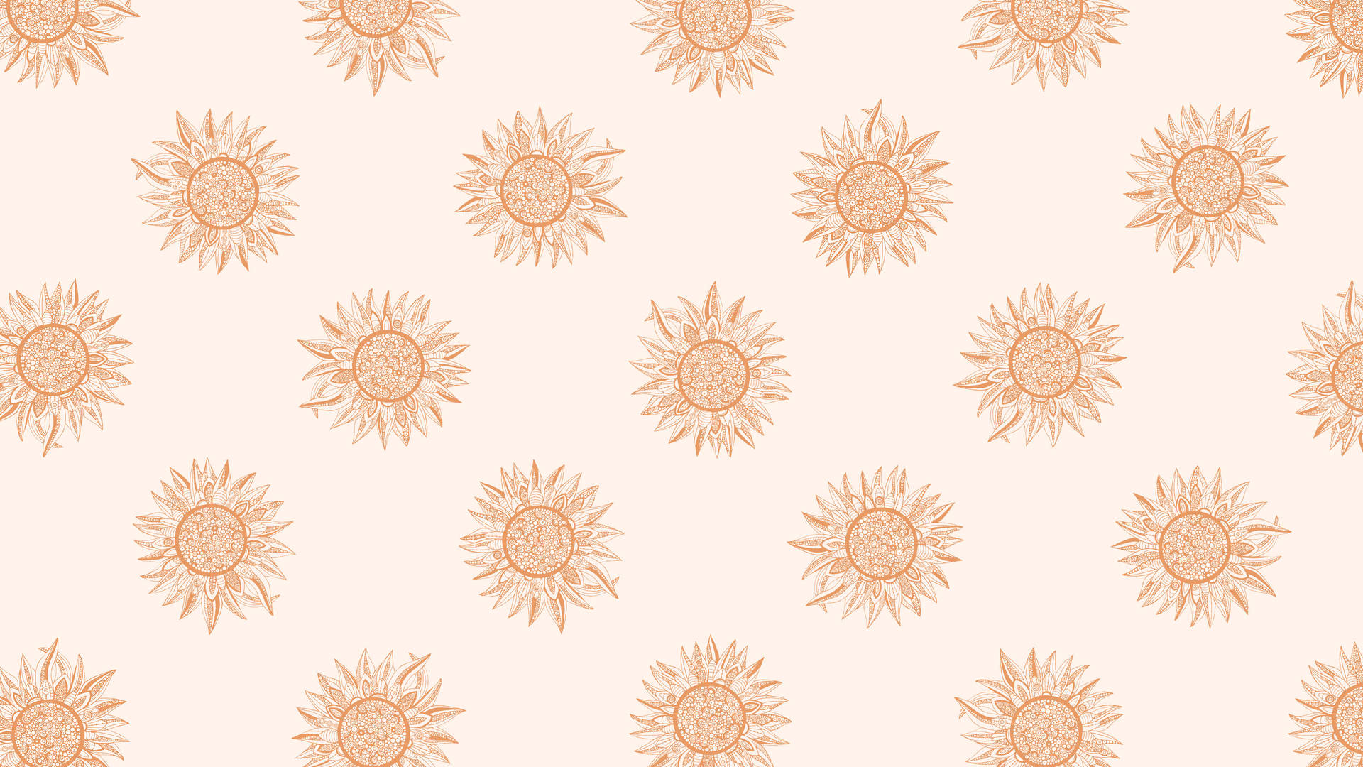 Cute Aesthetic Flowers Wallpaper