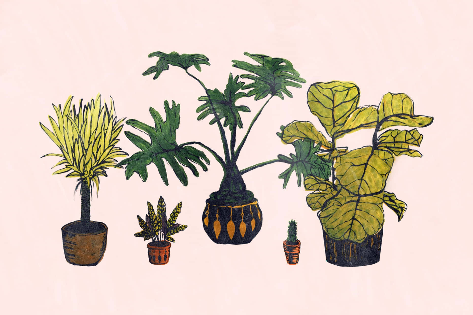 Serene Green - A Snapshot of an Aesthetic Plant Wallpaper