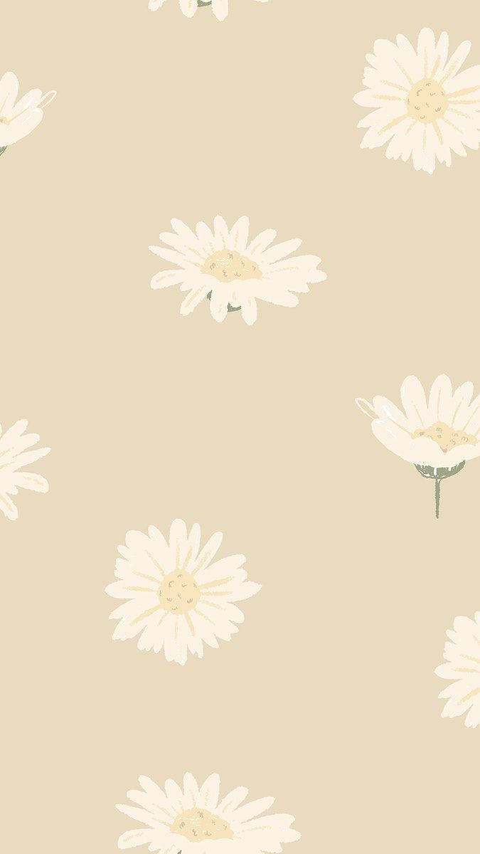 Sød og minimal Daisy iPhone Tapet Wallpaper