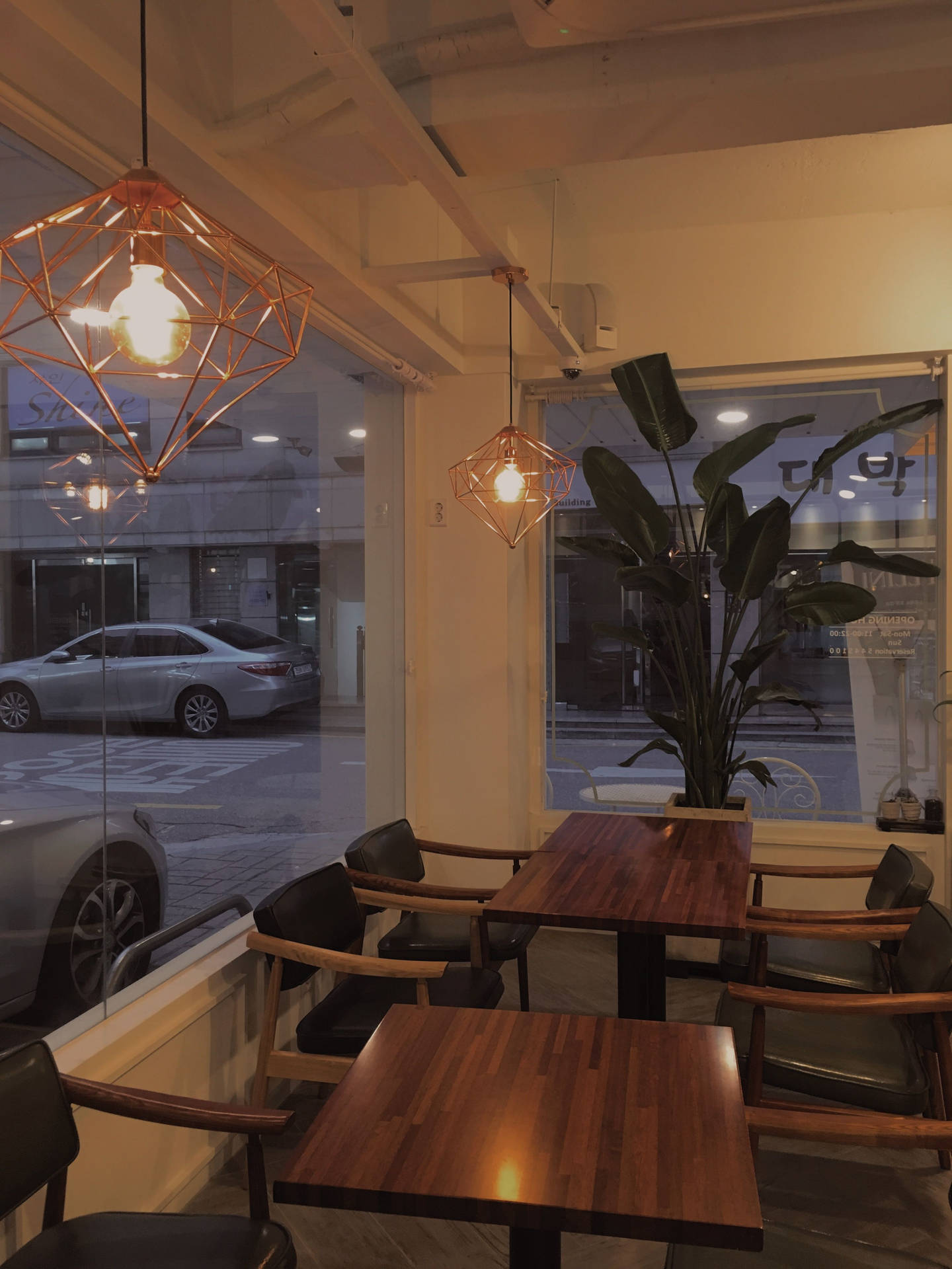 Cute And Simple Cafe With Ambient Lighting Picture