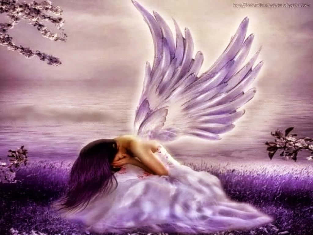 Cute Angel Crying On A Lavender Field Wallpaper