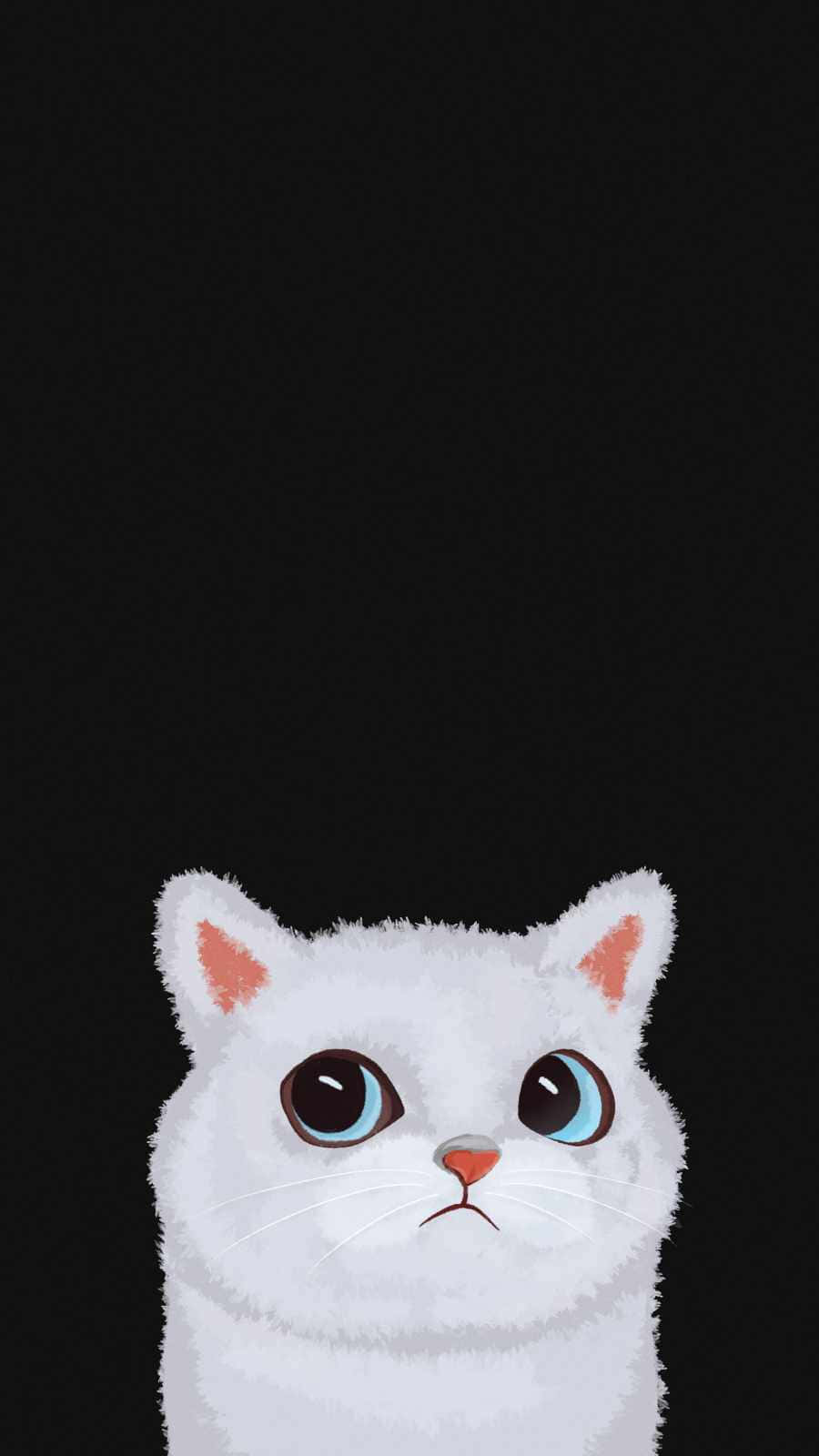 A White Cat With Blue Eyes On A Black Background Wallpaper