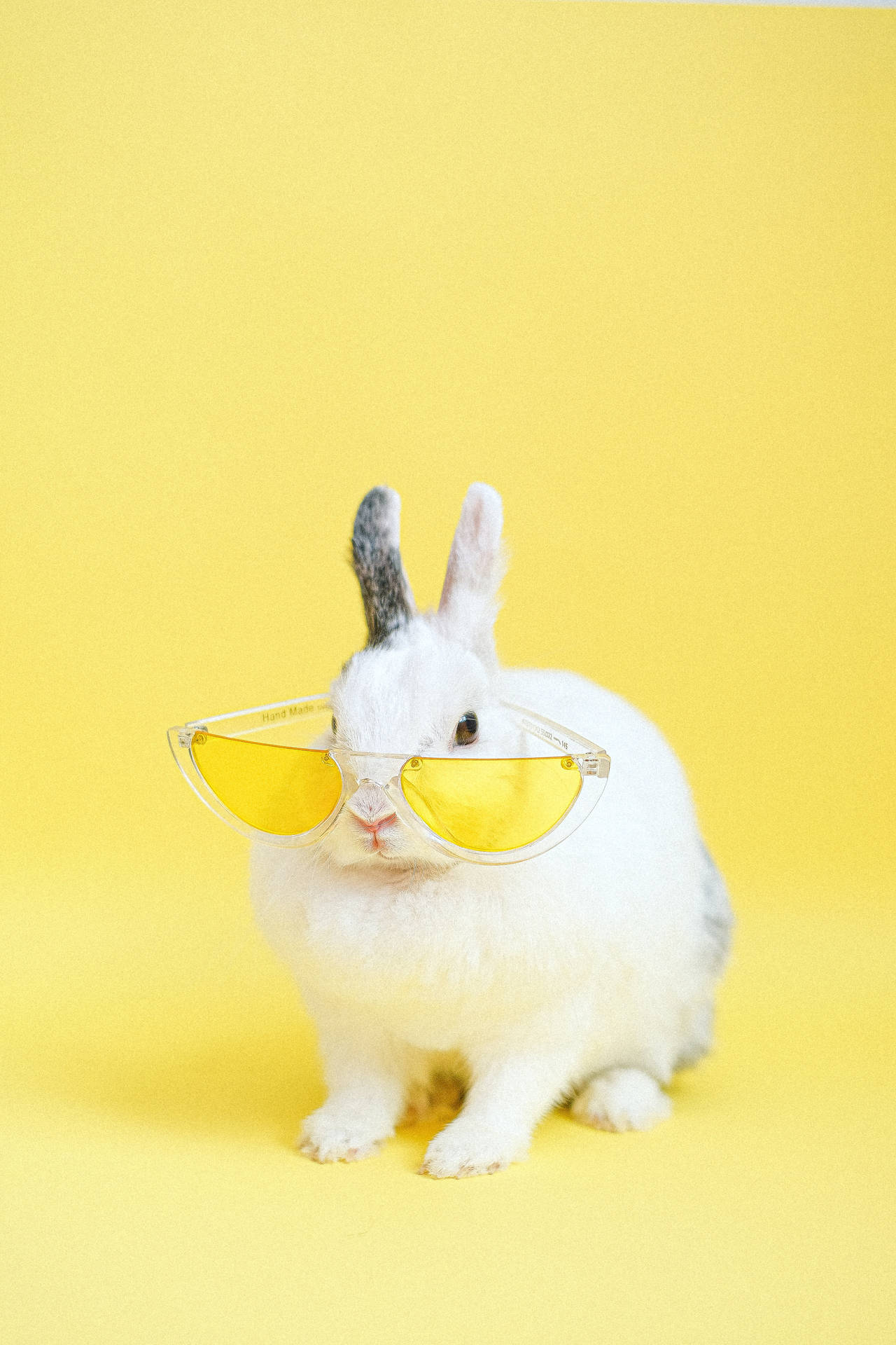 Cute Animal White Rabbit With Yellow Sunglasses Wallpaper