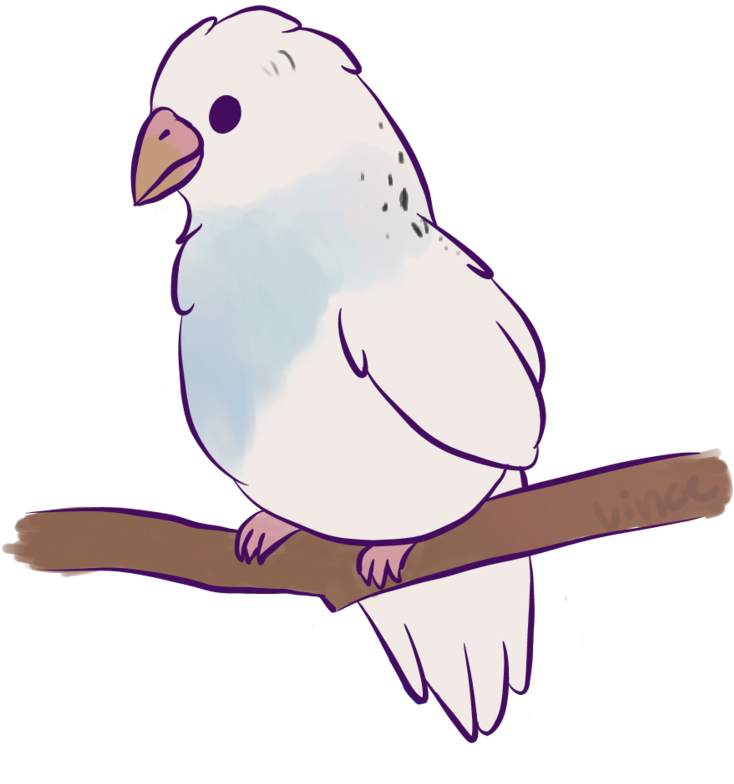 Cute Animated Budgieon Branch PNG