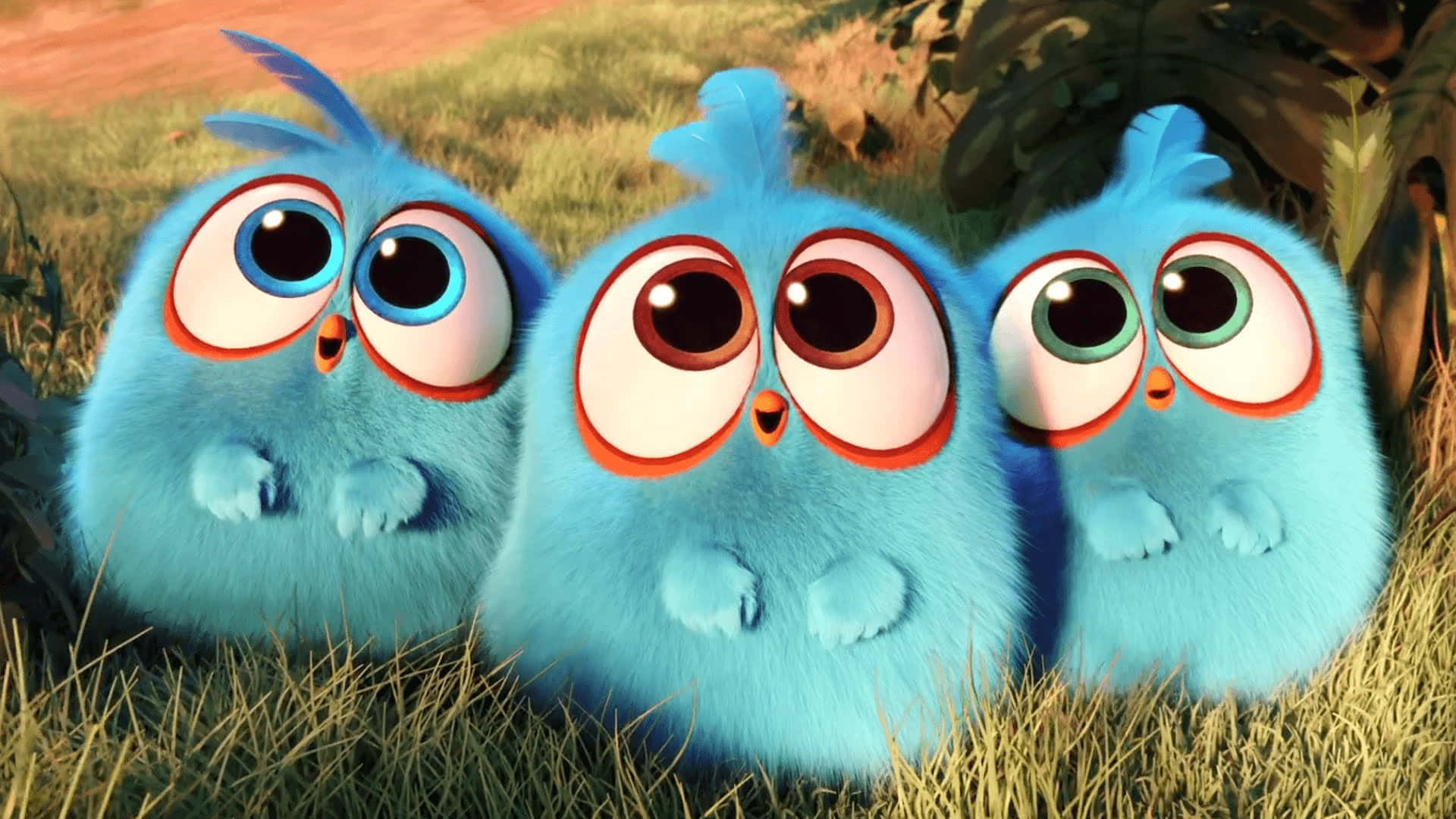 angry birds - a blue bird with big eyes