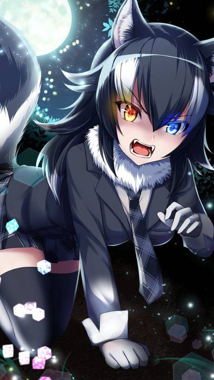 Cute Anime PFP Wolf Girl Wallpaper