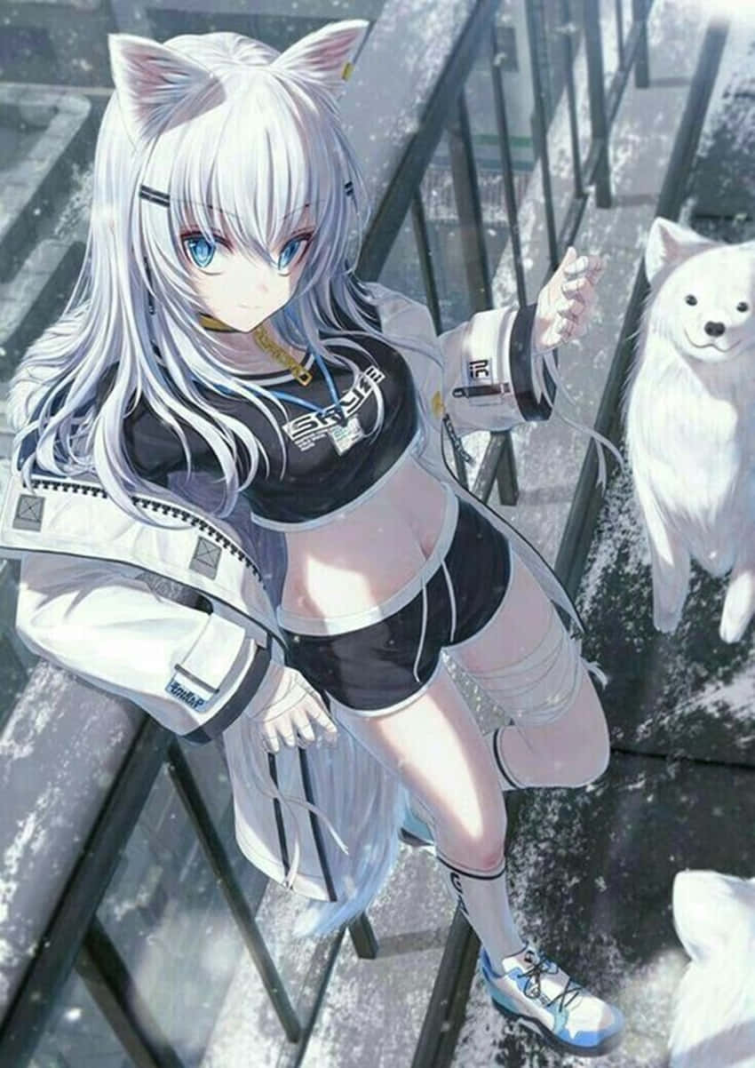 Cute Anime Wolf Girl  In A White Aesthetic Wallpaper