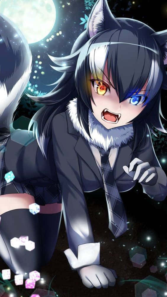 Download Cute Anime Wolf Girl During Full Moon Wallpaper 