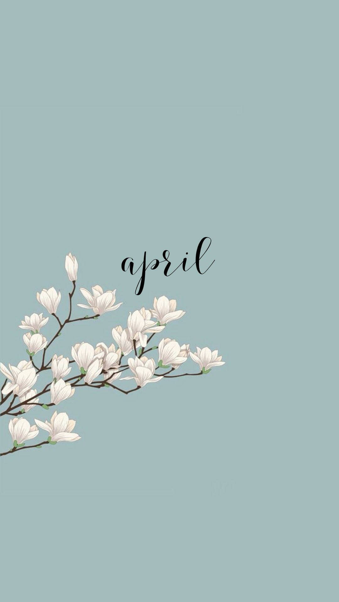 Download Cute April Spring Wallpaper 