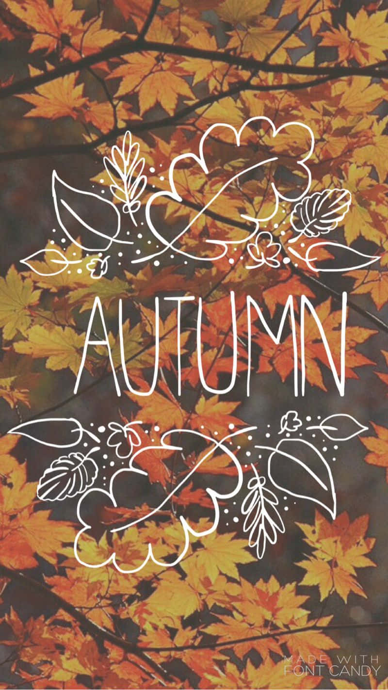 Enjoy autumn in style with the the cutest Iphone! Wallpaper