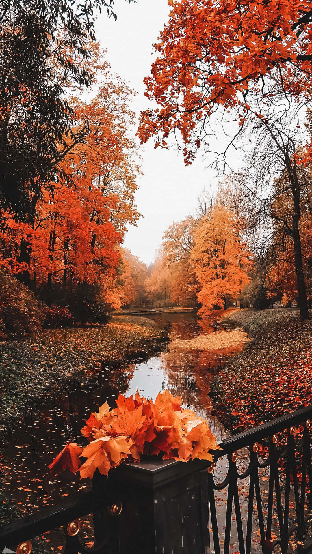 Adding a touch of autumn to your phone Wallpaper