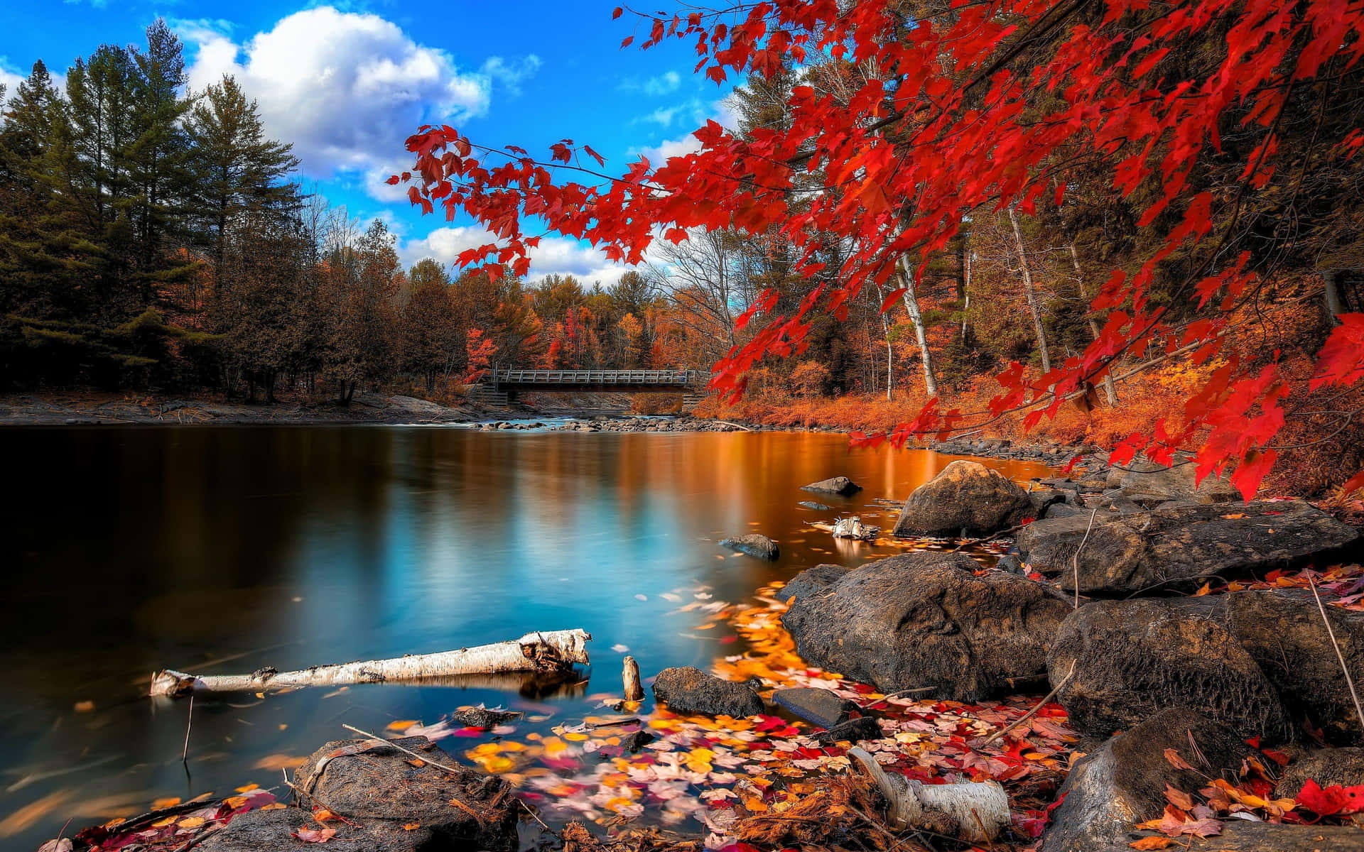 En sø med røde blade og klipper, der reflekterer en fuldmåne. Wallpaper