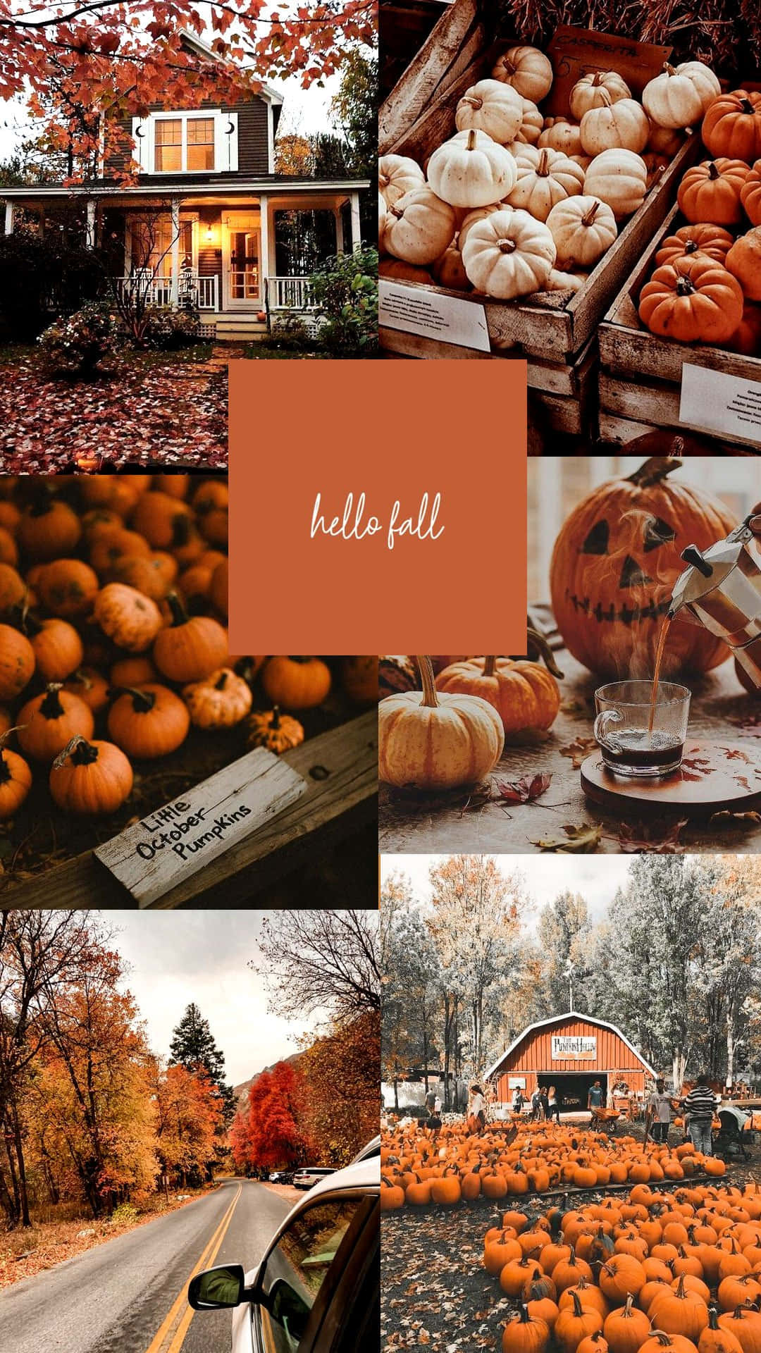 Cute Autumn Season Collage Wallpaper