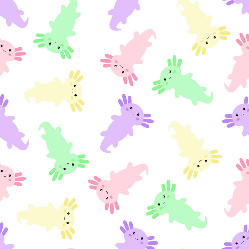 Lindosanimales Axolotl En Diferentes Colores Arte Minimalista. Fondo de pantalla