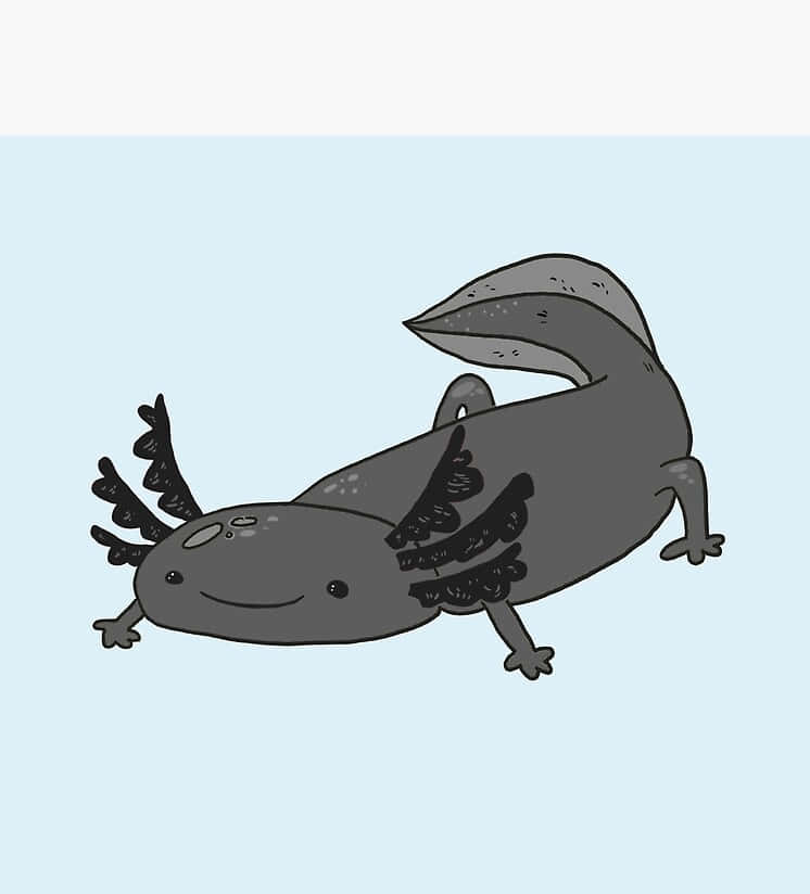 Lindodibujo A Color De Un Axolotl Gris Fondo de pantalla