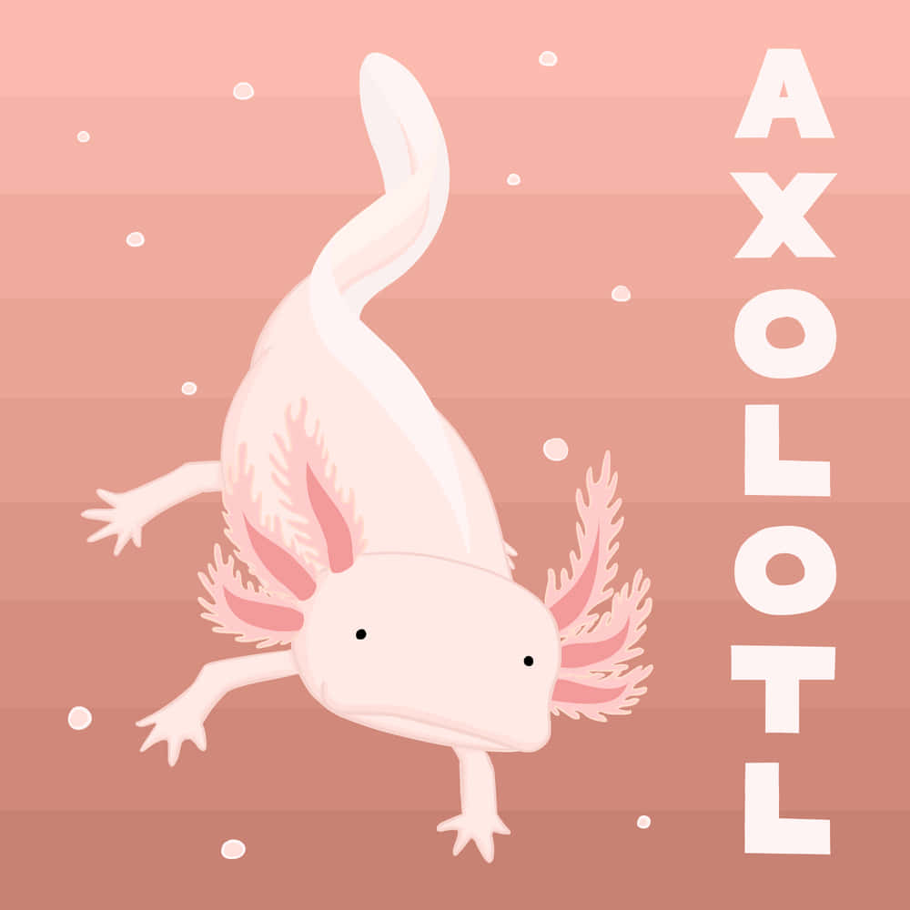 Adorable Axolotl in a Magical Pink Universe Wallpaper