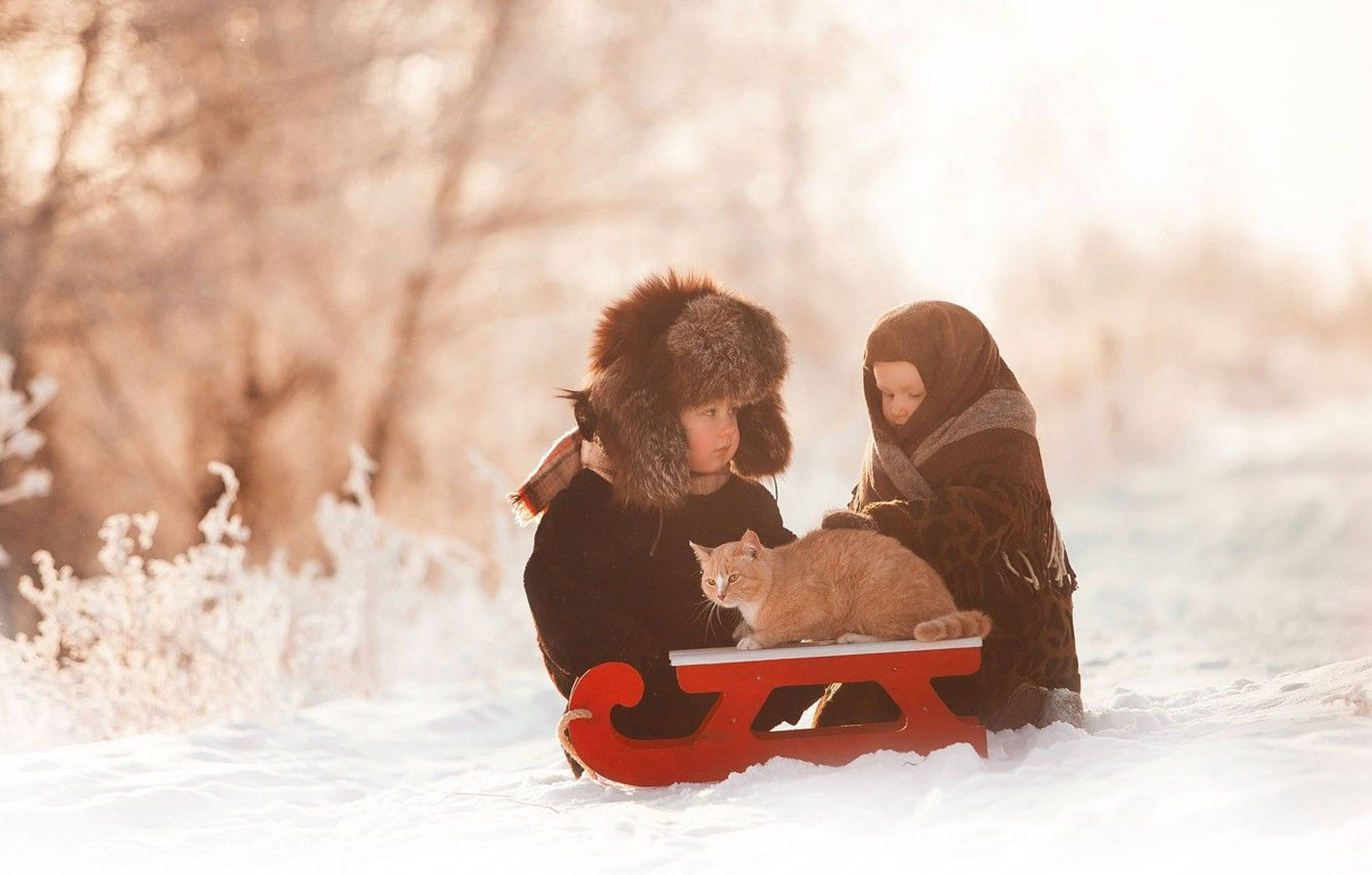 Cute Babies Sledding On The Snow Background