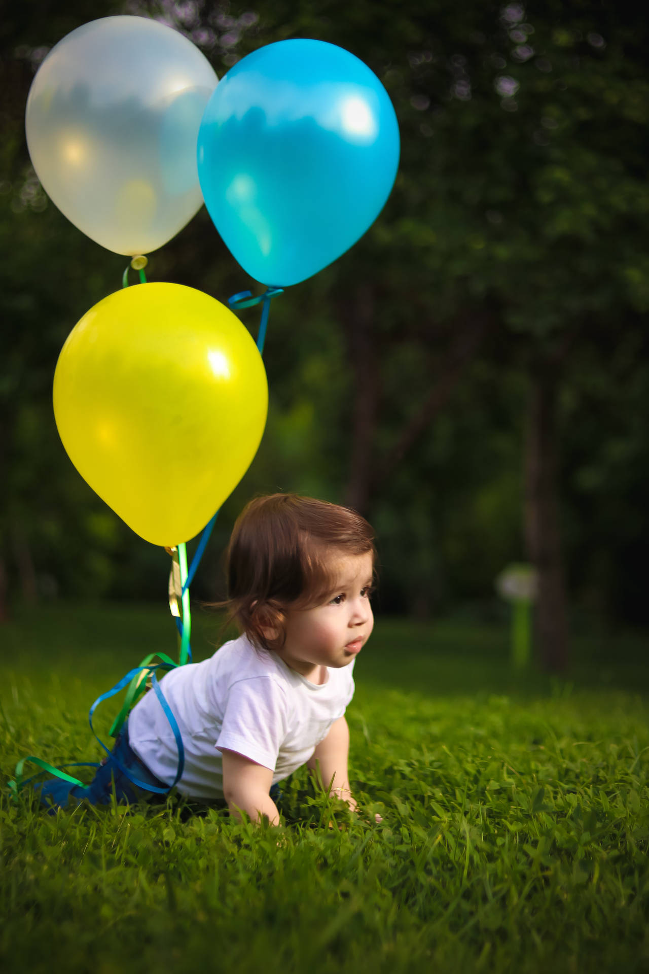 Sød baby kravler på græs med balloner Wallpaper