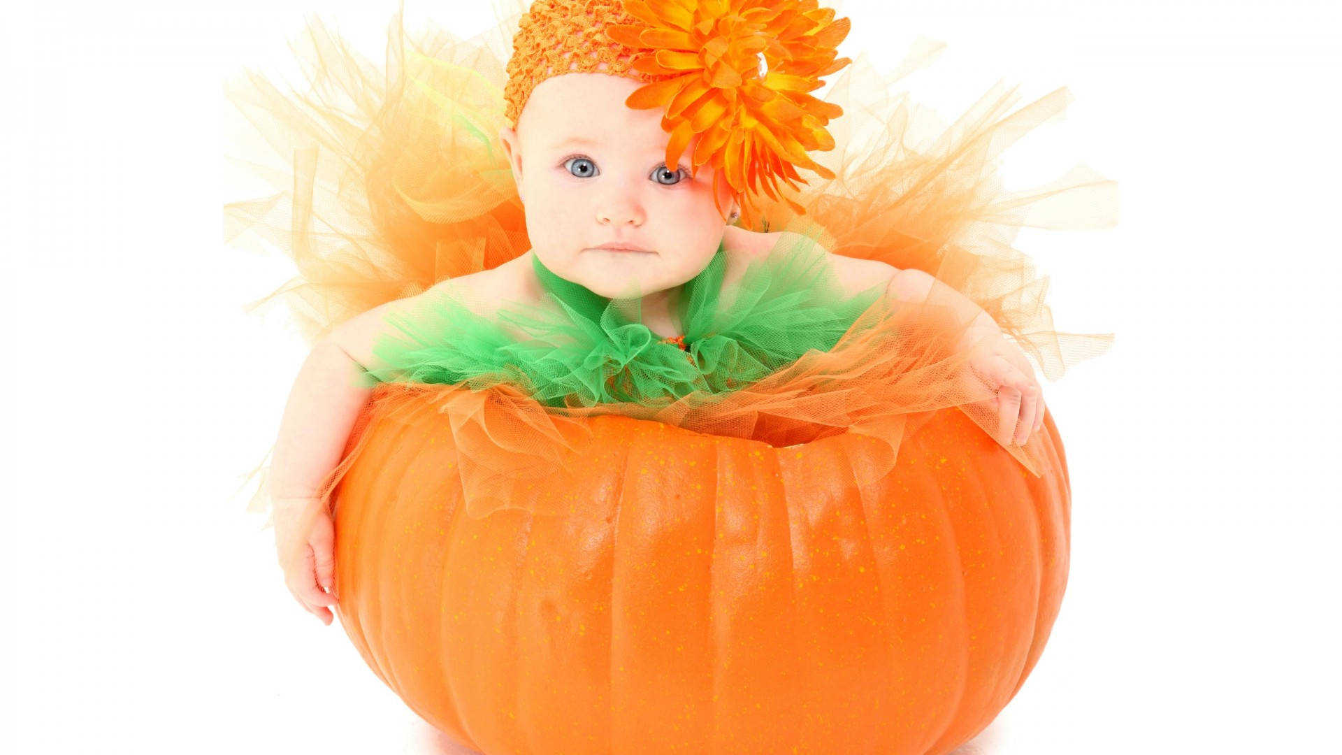 Cute Baby Girl With Pumpkin Wallpaper
