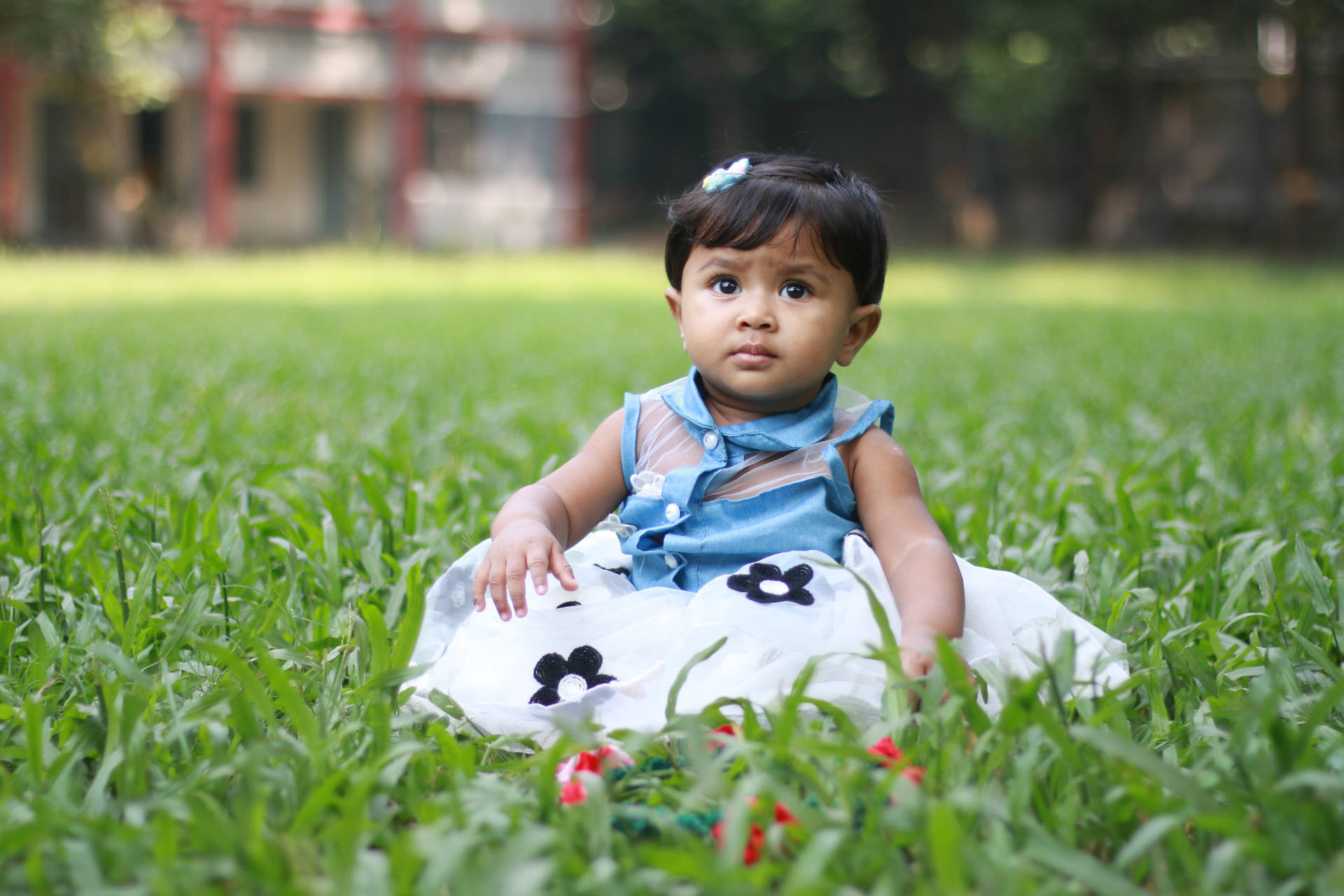 Cute Baby In A Fancy Dress On Grass Wallpaper