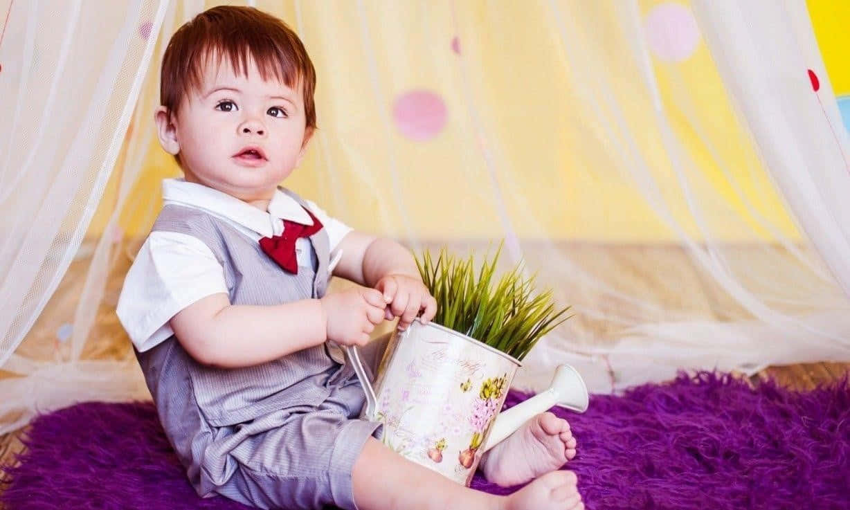 Enbaby Dreng Sidder På Et Lilla Tæppe Med En Potte Græs.