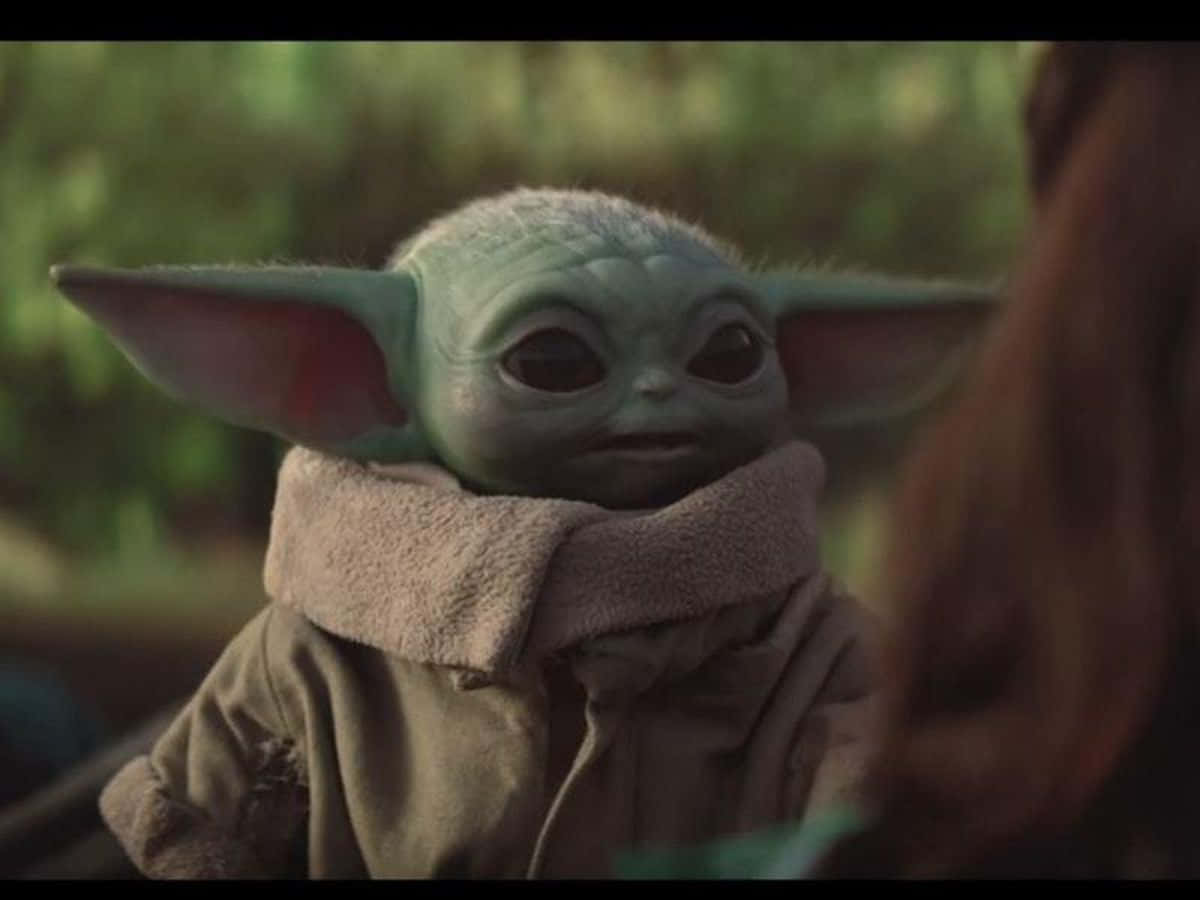 Cute Baby Yoda Still Picture