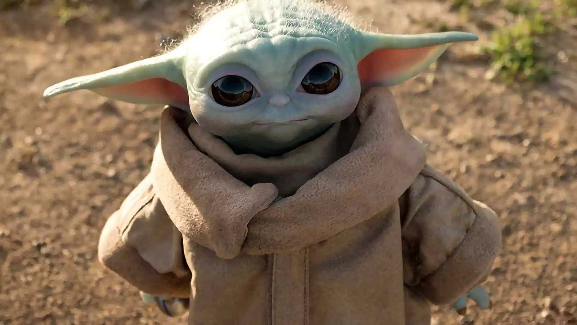 Fotografiade Filme Fofa Do Baby Yoda.